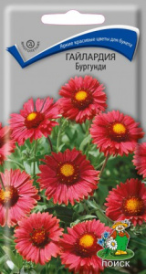 292_m_45838c562664b8f56c8f0cae82c1c1e8