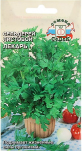 сельдерей лекарь седек