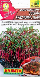 свекла
