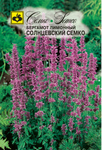 бергамот солнцевский
