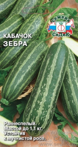 kabachok_zebra