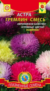 astra-gremlin-smes-229x416
