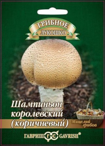 шампиньон