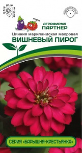 пирог