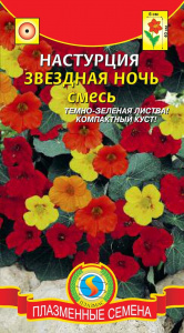 насту зве ночь