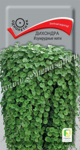 нити