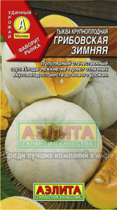 ты гриб зим