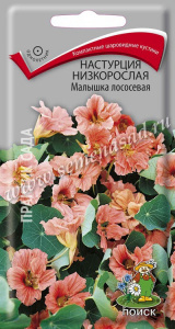 bd38ab28666926f6a31bd77550ba8897