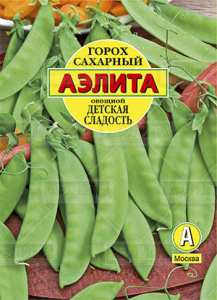 569804