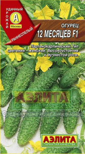 12 мес аэлита
