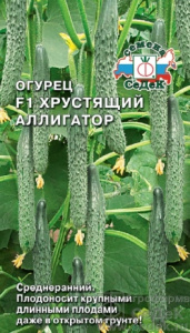 хр.аллигатор  седек