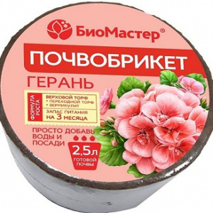 брикет герань