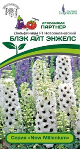 энжелс