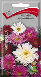 кнопка поиск