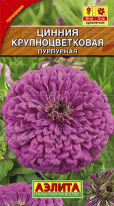 preview336xauto_krupnocvetkovaya-purp