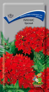 лихнис красный