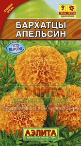 бархатц апельсин аэлит