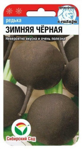 зимняя