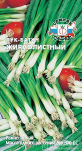 luk-zhirnolistnyy-_batun_