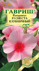 сиеста