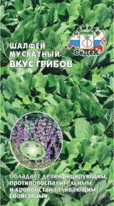 шалфей вкус грибов седек
