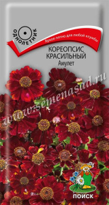кореопсис амулет