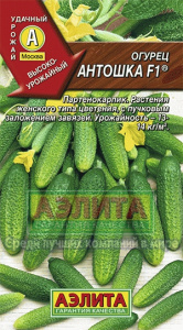антошка аэлита