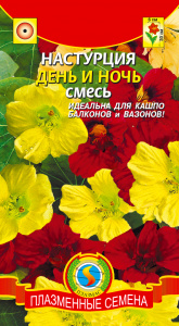 настурция день и ночь