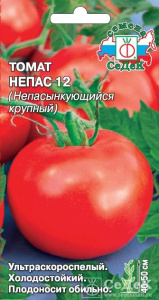 tomat-nepas-12-_nepasynkuyushchiysya-krupnyy_сед