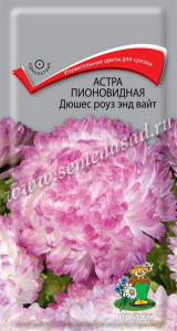 астра дюшес ва