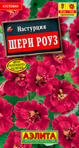 шери аэ