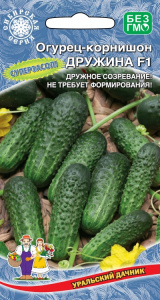 ogurec-kornishon-druzhina-f1