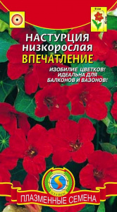 настурц впечатление