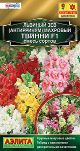 твинни