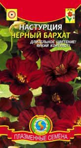 настурция черн б