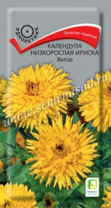 ириска ж