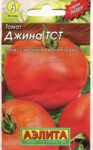 джина лидер