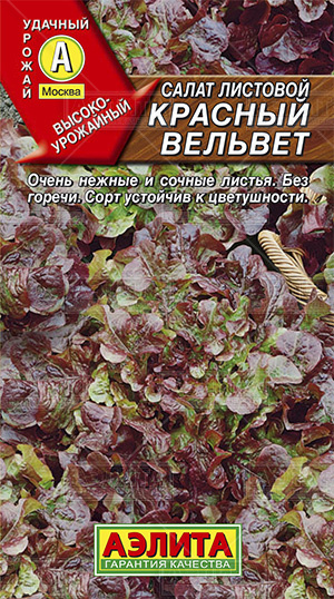 Салат листовой, Красный вельвет