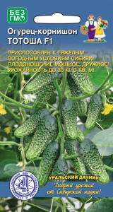 ogurec-kornishon-totosha-f1