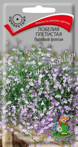лобелия лиловый фонтан