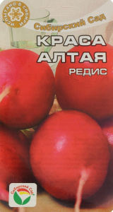 редис краса алтая сиб сад