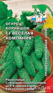 огур весёл компания