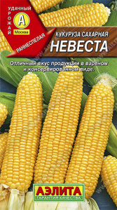 574548