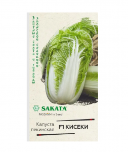 Снимок экрана (1)