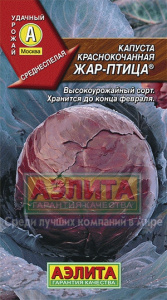 кап кк жар пти