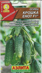 Огурец_Крошка_Енот_F1