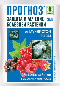 прогноз 5мл