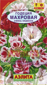 годеция махровая аэлит