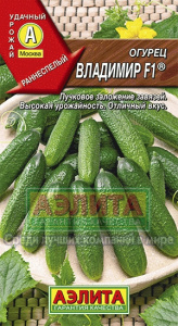 владимир аэлита