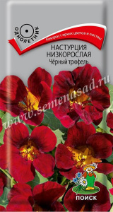 настурция черн трюфель поис